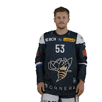 hcclachauxdefonds hockey 53 hcc dubois Sticker