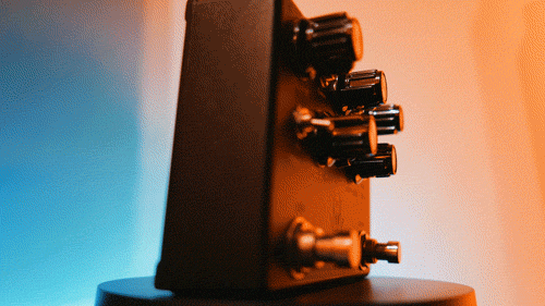 absurdcus giphyupload GIF