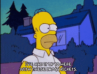 homer simpson GIF