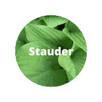 Tekst Sticker by Plantetorvet.dk