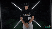 Tulane Rollwave GIF by GreenWave
