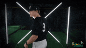 Tulane Rollwave GIF by GreenWave