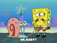 season 6 episode 10 GIF by SpongeBob SquarePants