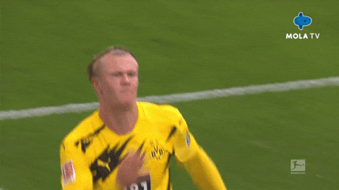 Happy Celebration GIF by MolaTV