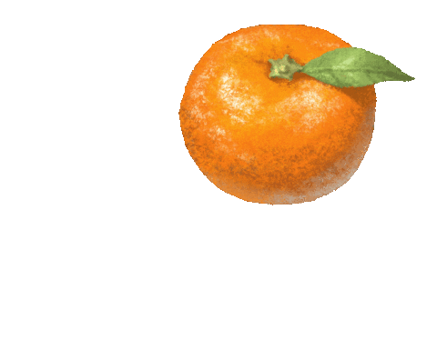 Winter Orange Sticker