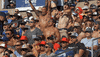let's go crowd GIF by CrossFit Inc.
