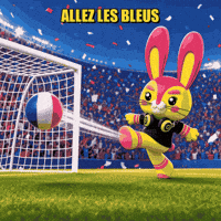France Football GIF by WVRPS