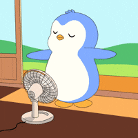 Nervous Summer GIF by Pudgy Penguins