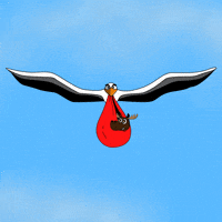 DoYouMoose baby nft delivery blockchain GIF