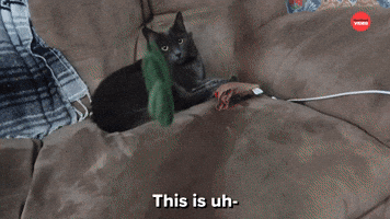 This Is Going Well...