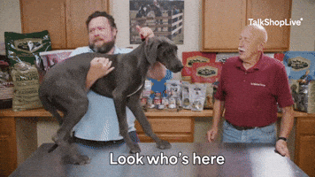 Look Whos Here Dr Pol GIF by TalkShopLive