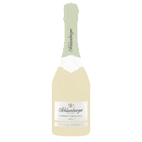 Cheers Sparkling Sticker by Team MBev USA