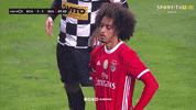 Sl Benfica Slbgifs GIF by Sport Lisboa e Benfica