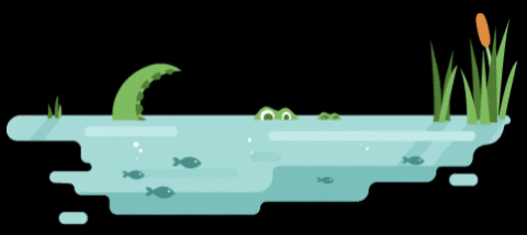 Summer Water GIF by University of Florida