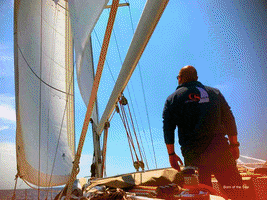 captainssailing sea captain sailing marine GIF