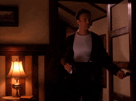 season 2 GIF by Twin Peaks on Showtime