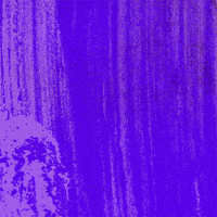 Typography Rage GIF by Jessica Lau