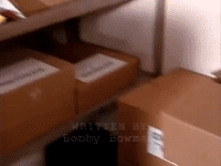 the mystery files of shelby woo nicksplat GIF