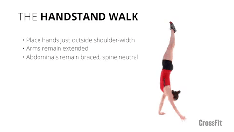 crossfit handstand walk GIF