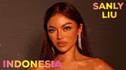 Miss Universe Indonesia GIF