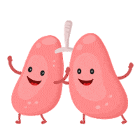 Organ Transplant Lungs Sticker by NHS Organ Donation
