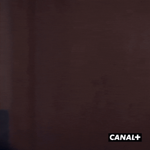 Bonjour Lol GIF by CANAL+