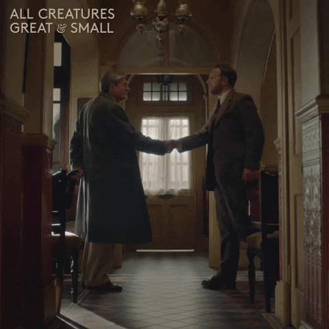 allcreaturestv giphyupload animals handshake rivals GIF