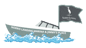 Summer Flag Sticker by Norris Landing Marina