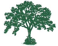 University Of California Tree Sticker by UC Davis