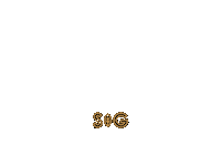 Butterfly Flying Sticker by Social House