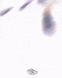 Novels GIF