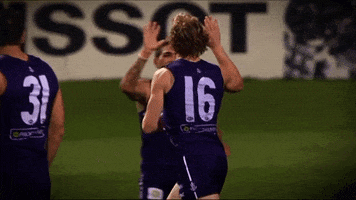 freodockers fremantle dockers freo fremantle dockers GIF