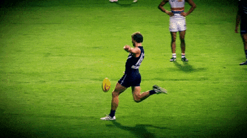 freodockers fremantle dockers freo fremantle dockers GIF