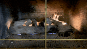 Iu Fireplace GIF by Indiana University Bloomington