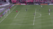 soccer mls GIF by D.C. United