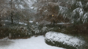snow atlanta GIF