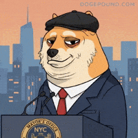 Press Conference Deal With It GIF by Doge Pound