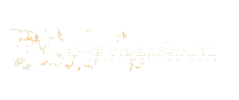 Videografie Dsb Sticker by DSBVisuals