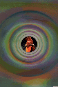 tumblr featured GIF