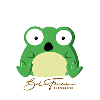 O Que What Sticker by Bel Ferreira Photography