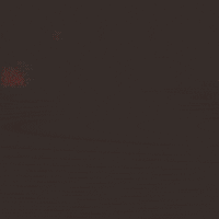 Pride March Love GIF by INTO ACTION