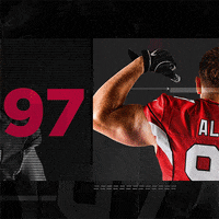 Football Nfl GIF by Arizona Cardinals
