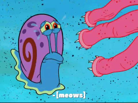 season 7 keep bikini bottom beautiful GIF by SpongeBob SquarePants