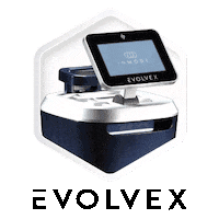 Abs Evolve Sticker by InModeAesthetics
