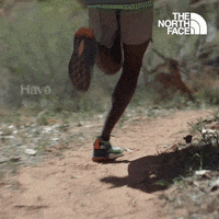 Get Outside Have You Ever GIF by The North Face