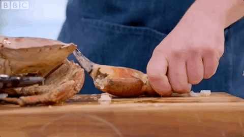 episode 4 britains best home cook GIF by BBC