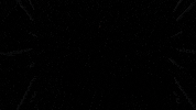 Germany Football GIF by Bundesliga