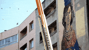 street art loop GIF by A. L. Crego