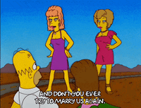 homer simpson episode 10 GIF