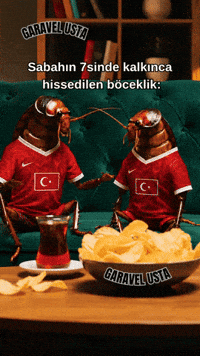 Wc26 GIF